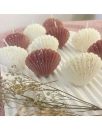 Unique Shell Candle