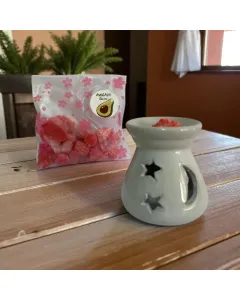 Aromatherapy Set — Glass Diffuser & Wax Melts