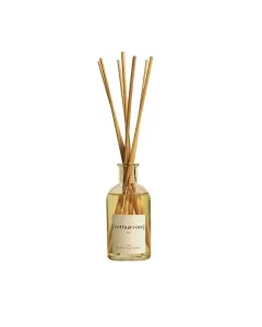 Ambientair Diffuser To Black - 100 ML - Fig Grove available at The Scout - Amman, Jordan