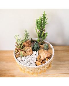 Cactus - Succulent Combo Custom Ceramic Dish