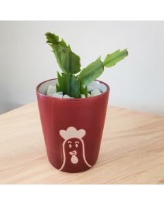 Cactus in Small Ceramic Cup (Chicken)