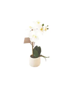 Nova Home "Phalaenopsis" Flower Arrangement - 38 cm - White