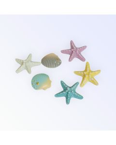 Seashell Charms