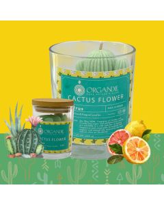 Cactus Flower - Zesty Citrus Burst Soy Candle (Available In Sizes)