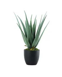 Nova Home "Aloe" Artificial Tree - 69 Cm - Green