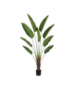 Nova Home "Strelitzia Ceae" Artificial Tree - 180 Cm - Green