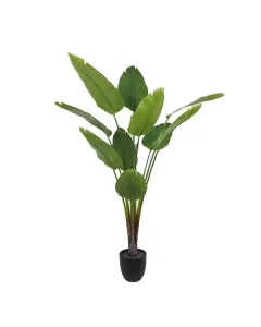 Nova Home "Strelitzia" Artificial Tree - 185 Cm - Green