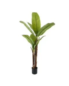 Nova Home "Banana" Artificial Tree - 160 Cm - Green