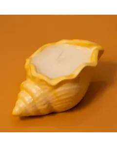 Candle Seashells - 25g - Yellow