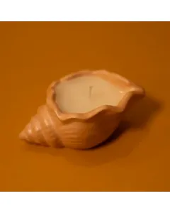 Candle Seashells - 25 g - Gold